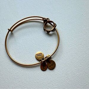 Alex and Ani Gold Charm Princess Crown Bangle Bracelet
